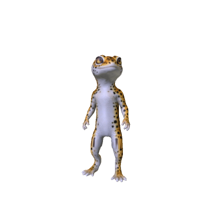 Gecko