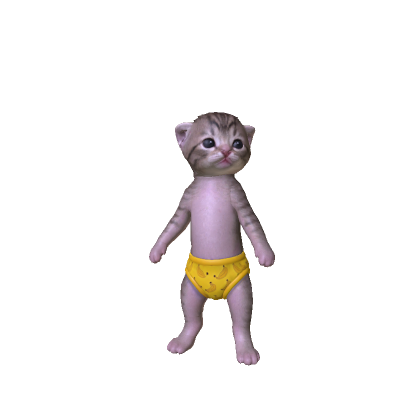 CUTE KITTEN