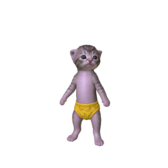 CUTE KITTEN