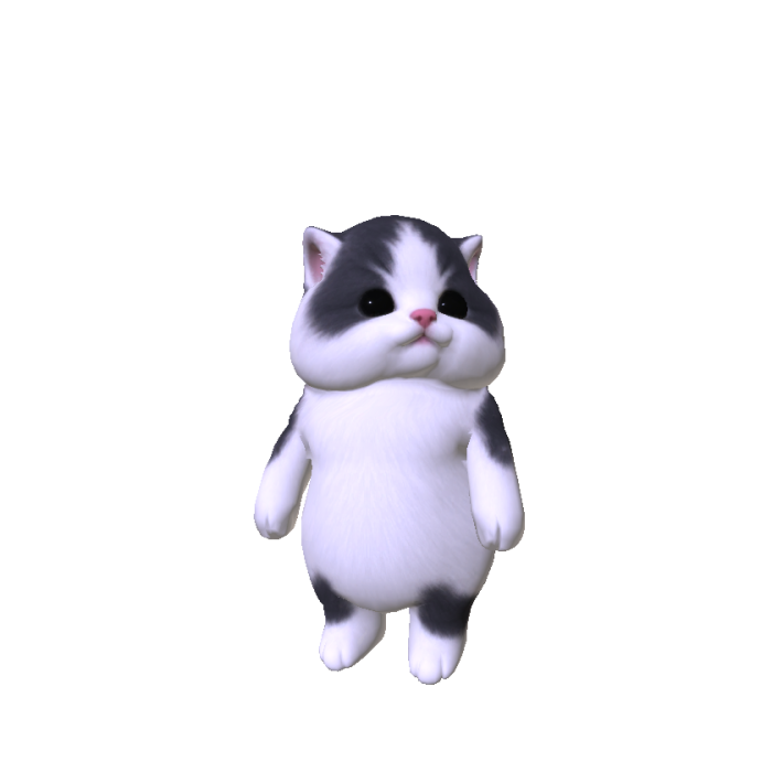 Chubby Cheeked Kitten