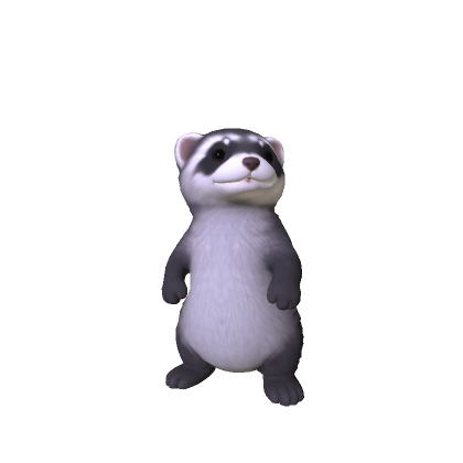 Mini Ferret