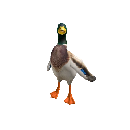 Realistic Duck - Roblox