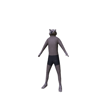 Raccoon