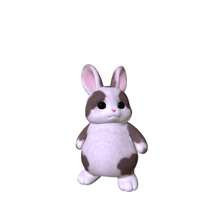 Litttle Bunny Plushie