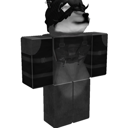 Full avatar of grillo2020