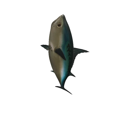 The Fish - Roblox