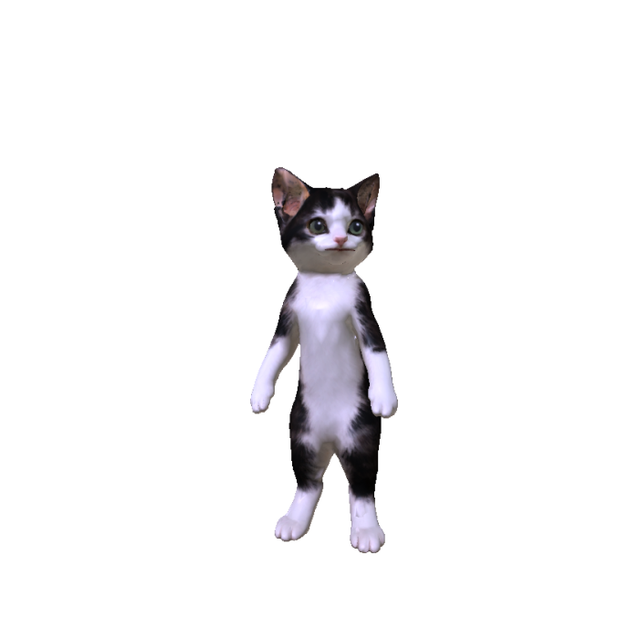 Tuxedo Cat