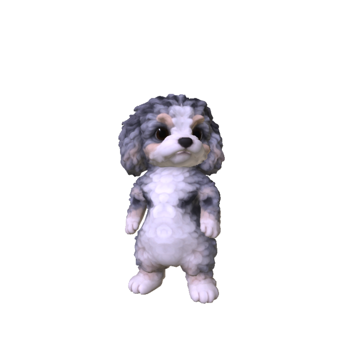 Little Poodle Puppy
