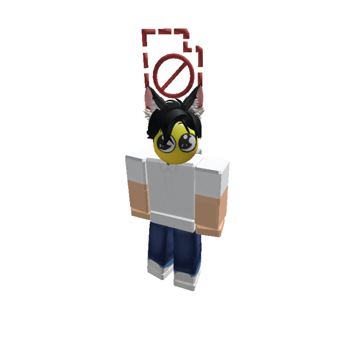 Roblox banner for @not