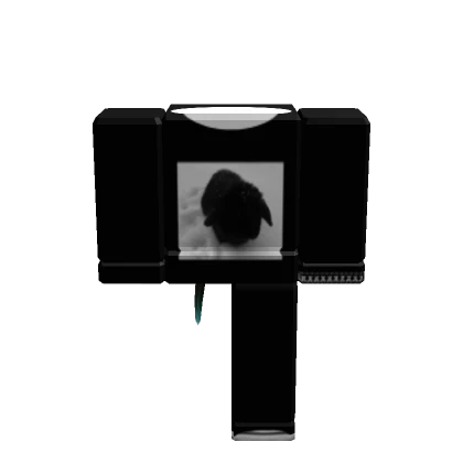 zio's avatar