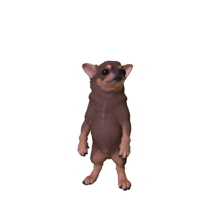 Mini Chihuahua