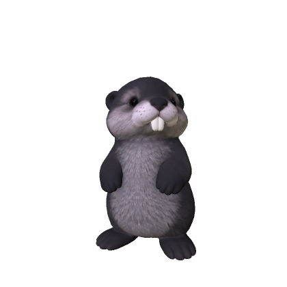 Beaver