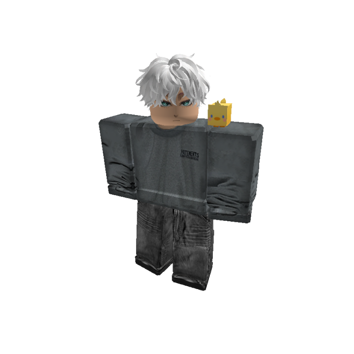 Roblox banner for @Shuntaro0