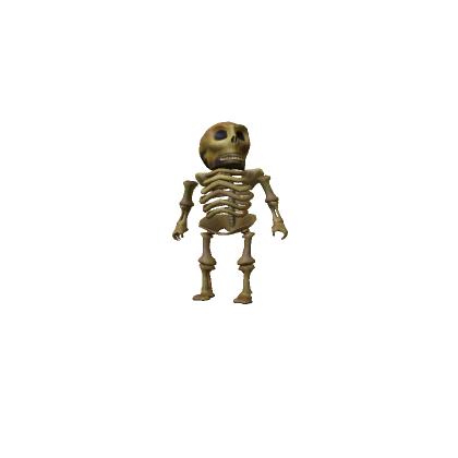 Mini Classic Skeleton