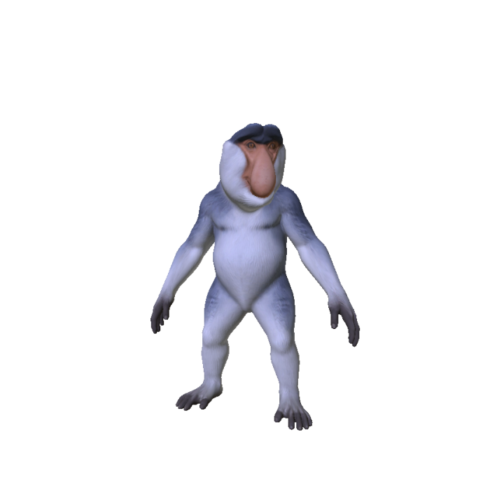 Proboscis Monkey