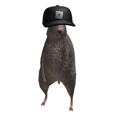 TheBloxyMan_10's avatar