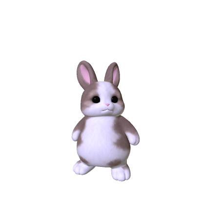Litttle Bunny Plushie