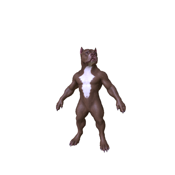 Pitbull