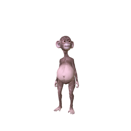 Monkey
