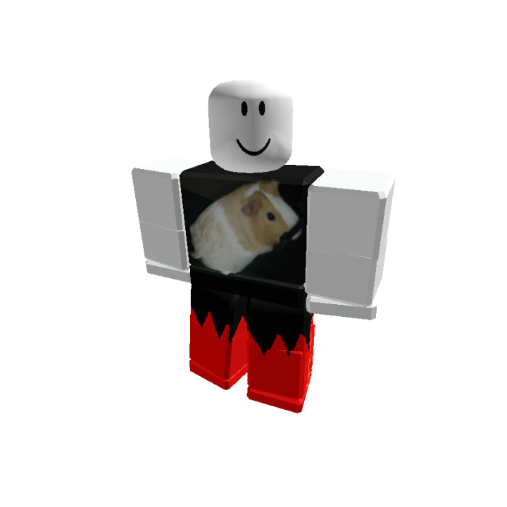Roblox banner for @temps