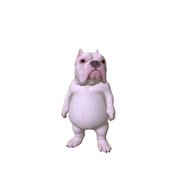 Chubby Bulldog