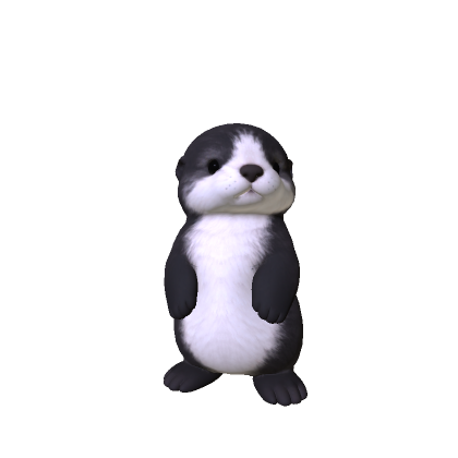 Cute Sea Otter