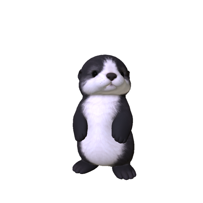 Cute Sea Otter
