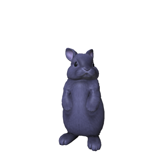 Cute Chubby Bunny
