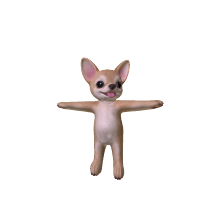 Chihuahua (cheap)