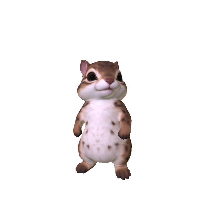 Cute Mini Chimpunk