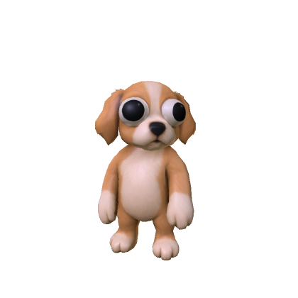 Shepherd Goober Puppy