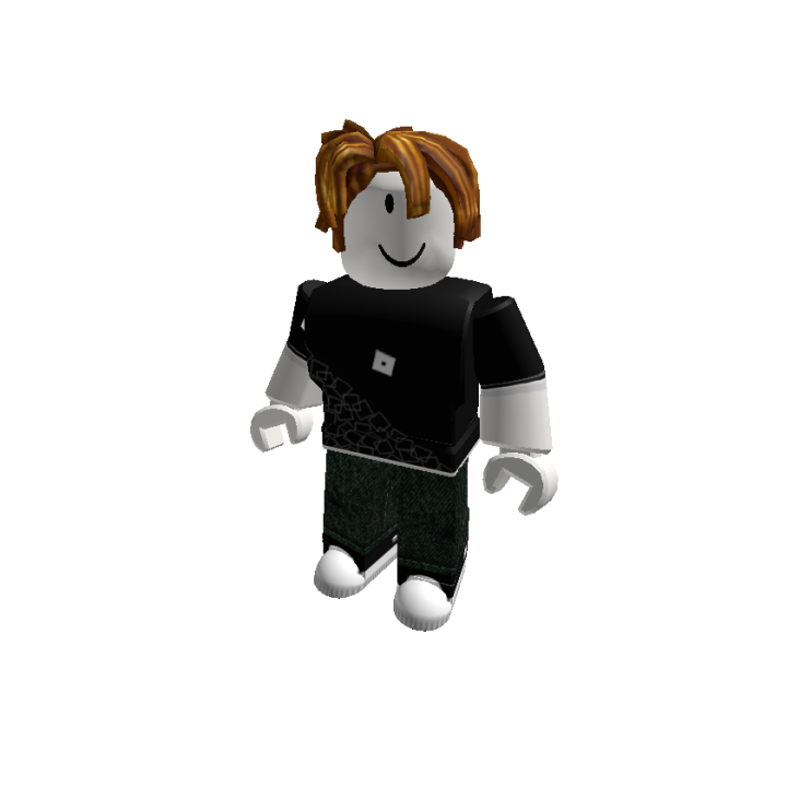 Roblox banner for @sltan3313
