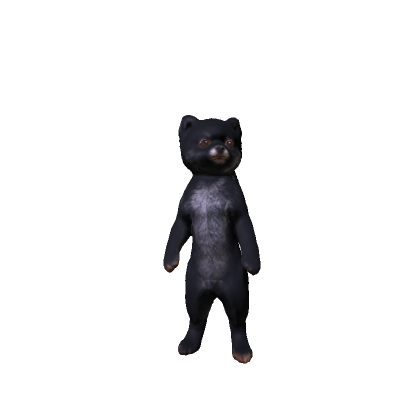 Black Pomeranian