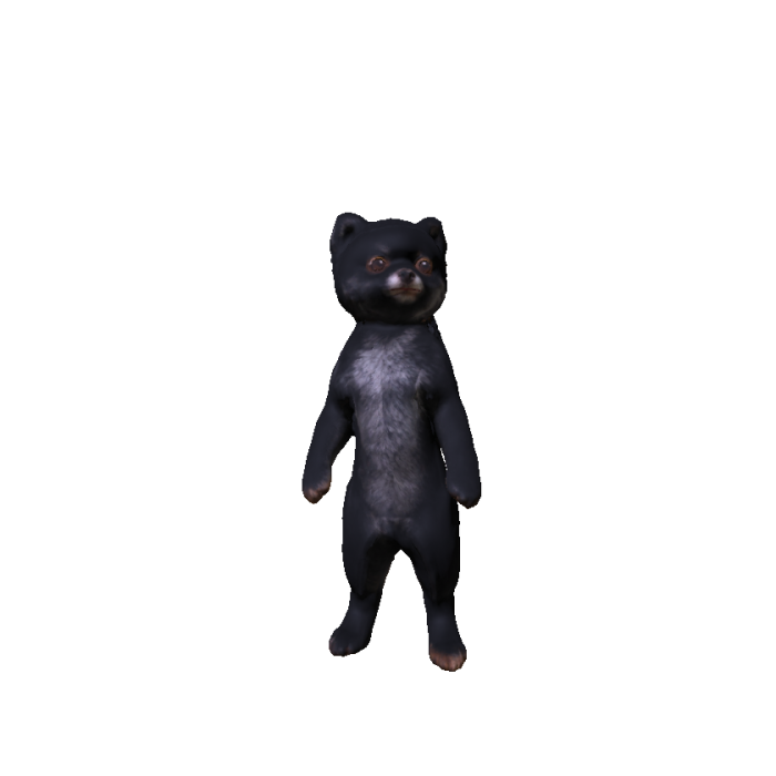 Black Pomeranian