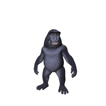 Little Smiling Monkey 🐵