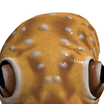 DogePixelDEV's avatar