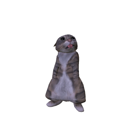 rigby cat