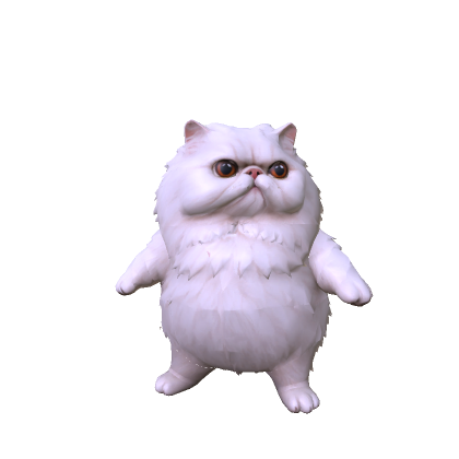 Fat Persian Cat