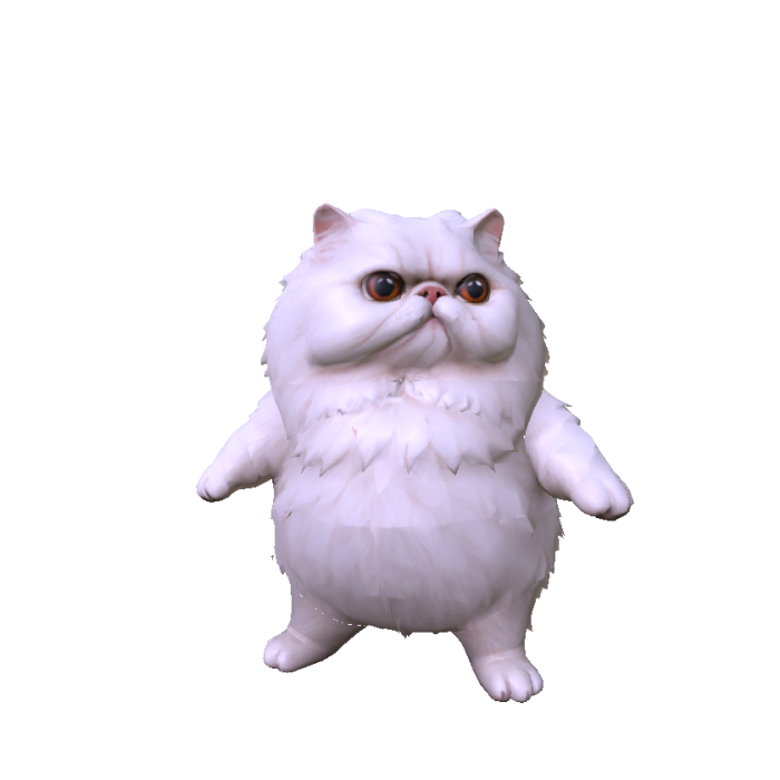 Fat Persian Cat