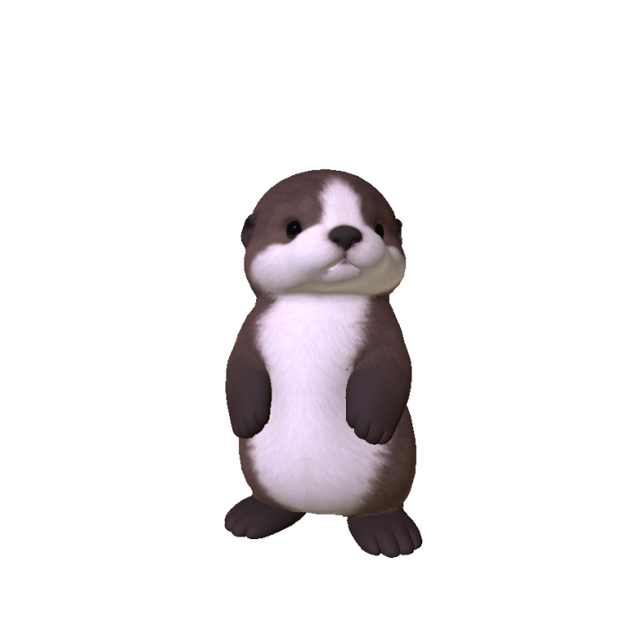 Sea Otter