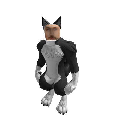 Full avatar of n6real