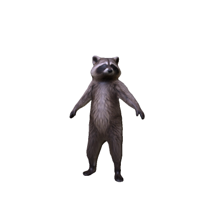Realistic Raccon