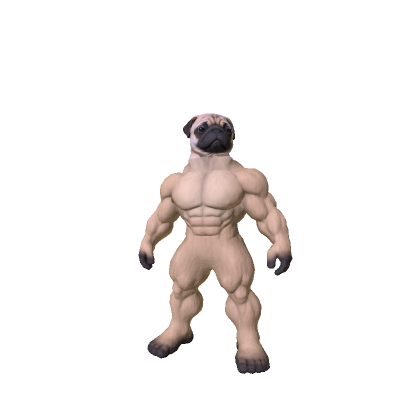 Tiny Head Buff Pug Dog