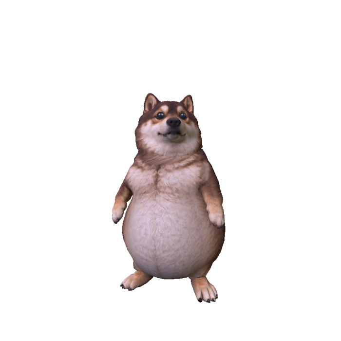 Chubby Shiba