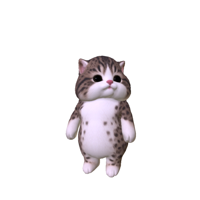 Chubby Cheeked Kitten