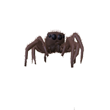 spider jumping