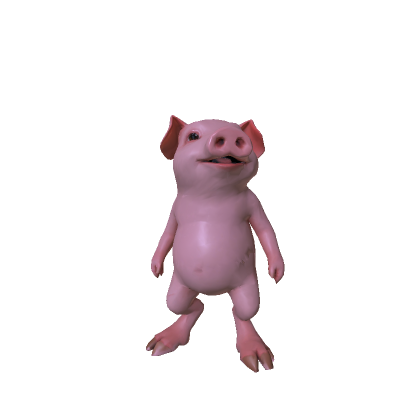 Funny Pig