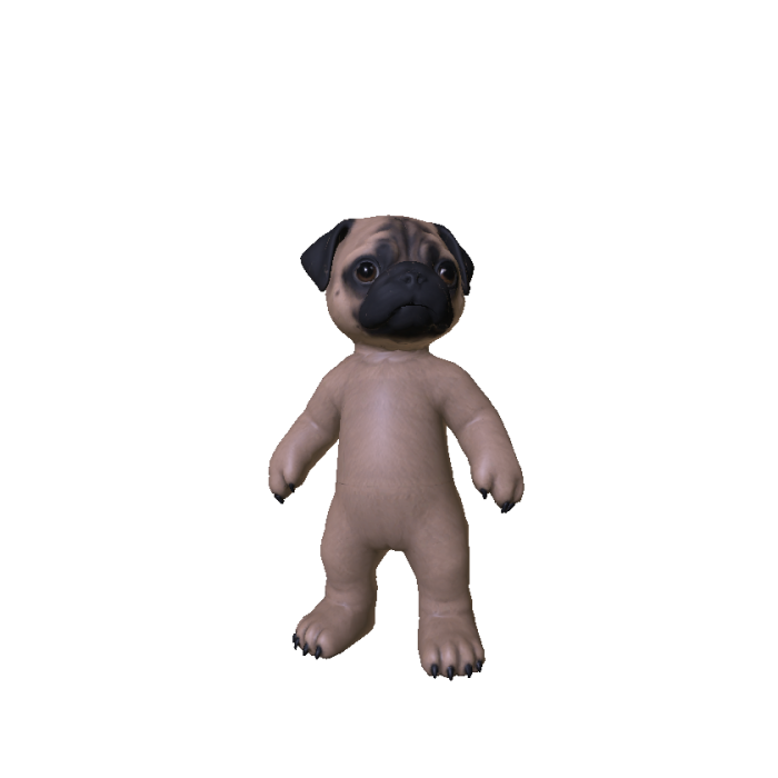 Pug Dog