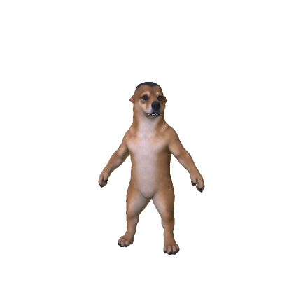 Cutest Dog Ever