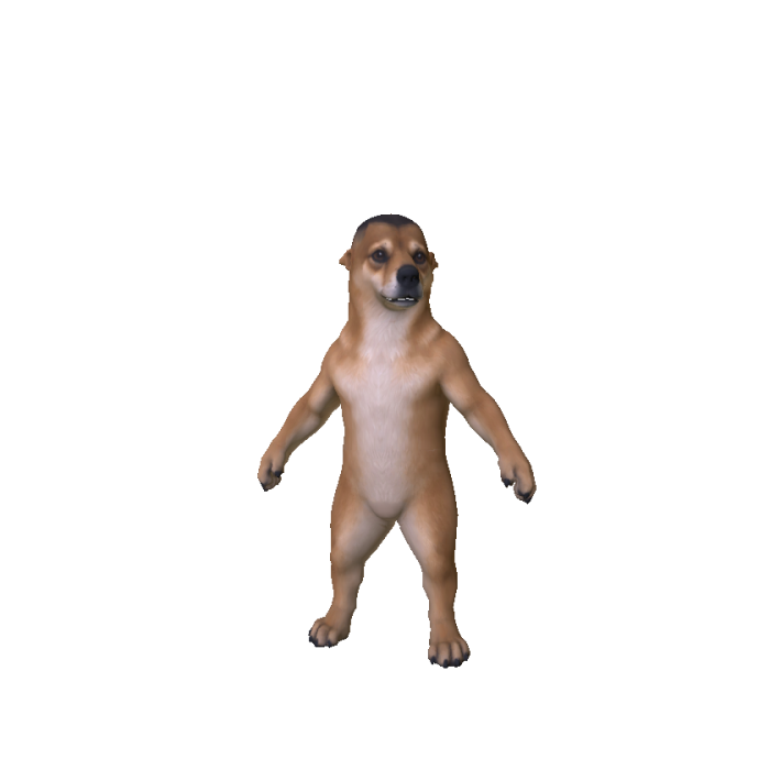 Cutest Dog Ever